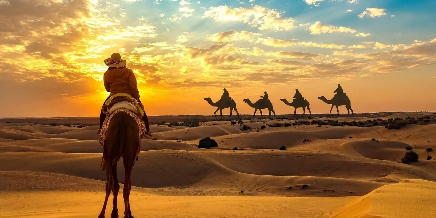 Camel safari at sunset