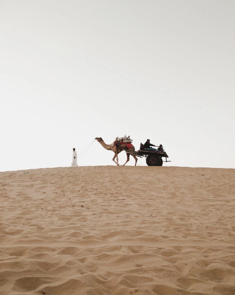 Camel caravan on the dunes